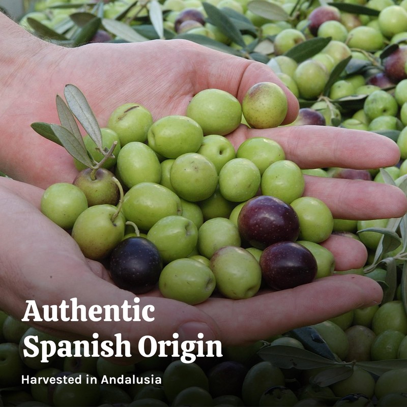 Agrosevilla Sliced Black Olives, Spanish Ripe Black Olives Pre Sliced,