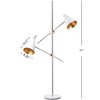 Safavieh Lighting Collection Reed 71" Floor Lamp, Chrome/White