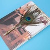 Vikye Peacock Feather Dip Pen with Writing Ink Retro Calligraphy