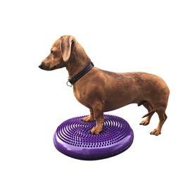 DEZAL Dog Balance Disc Cushion 14" - With 2 Exercises and Pump - Dog rehab Exercise Strength Endurance Conditioning Fitness Flexibility Rehabilitation Physical Training Tool for Senior Dogs