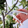 ARSCorp,Mini CHOKI,Pruning Snips,130DX-G,Green, Japanese Gardening tool