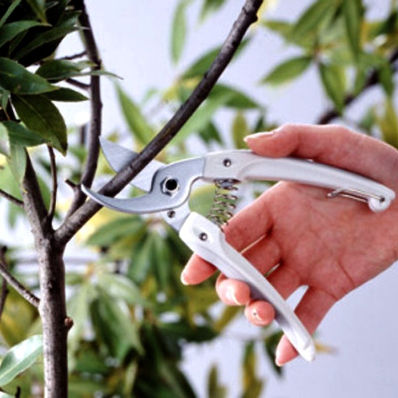 ARSCorp,Mini CHOKI,Pruning Snips,130DX-G,Green, Japanese Gardening tool