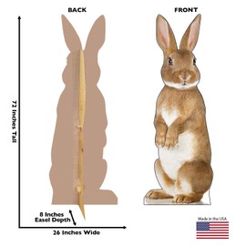 Cardboard People Bunny Rabbit Life Size Cardboard Cutout Standup