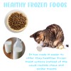 ice cube tray shapes Cute Cat Ice Cube Trays -
