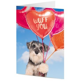 'WUFF YOU' cute miniature Schnauzer dog with red heart shaped balloons – Valentine or Birthday card