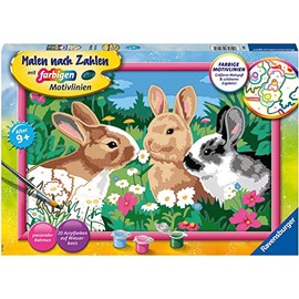 Ravensburger Paint by Numbers