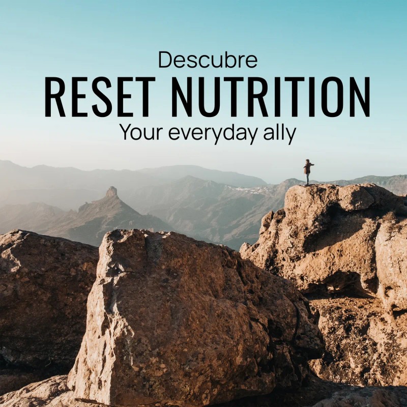 Reset Nutrition Kit Lions Mane Energa Mental E Inmunidad Sin