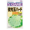 (SASAME) P-304 Tool Shop Value Luminous Ball Hard 2