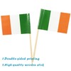 QQSD Ireland Toothpick Flag Irish Small Mini Cupcake Topper Flags,100