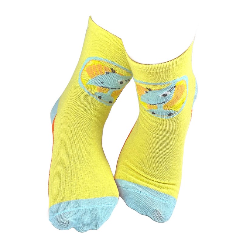Dinosaur Train Girls Fun Shiny Silly Crazy Dinosaur Kids' Socks