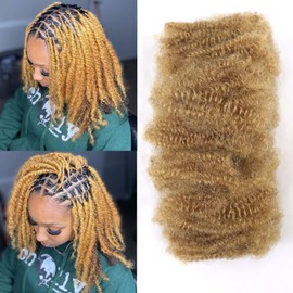 HAPPY&CC Afro Kinkys Bulk Human Hair For Dreadlock Extensions Braids Twist Micro Lock Extensions Color 27 Honey Blonde 14 Inch 50gram