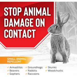 Messina Animal Stopper Granular Repellent - Safe & Effective, All Natural Food Grade Ingredients; Repels Groundhogs, Rabbits, Skunks, Raccoons and Other Garden Animals; Ready to Use, 5 lbs (AS-G-005)