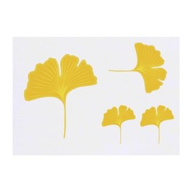 4 x 'Yellow Ginkgo Leaf' Temporary Tattoos - Water Resistant, Skin-Safe, Non-Toxic Transfers, Mixed Sizes (TO00072734)