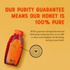 Nature Nate's 100% Pure, Raw & Unfiltered, Squeeze Bottle, Honey,
