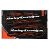 CHROMA CG32010 Harley-Davidson 2pc Scriped Text with Tribal Flames Design