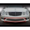 Mina Gallery Lower Grille for bumper for Mercedes E-Class Sport