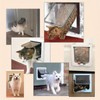 Nukoqcd Large Cat Flap 25.2cm x 23.5cm - Heavy Duty