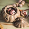 Ceramic Garlic Keeper with Lid and Holes Garlic Saver and