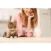 Jamktepat 3 Pack Leather Cat Collars with Bells Soft Pet