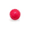 Pack of 5 Massage Balls with Nubs, Nub Balls, Hedgehog