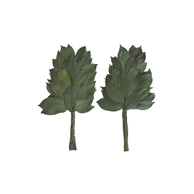 Preserved Sakaki Pair 12.6 inches (32 cm) SC-80690