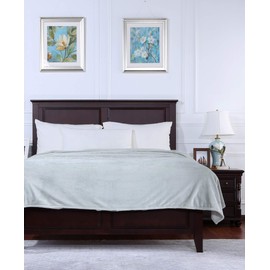 Berkshire Blanket VelvetLoft Ultra Soft Luxury Plush Blanket, Tea Green, Full/Queen