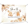 Mocsicka Fall Pumpkin Gender Reveal Backdrop Banner He or She