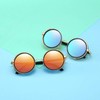 Dollger Steampunk Vintage Retro Round Sunglasses Metal Circle Leopard Frame