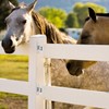 QWORK Farm Fence Gate Hinges, 4-Pieces 304 Stainless Steel Wall