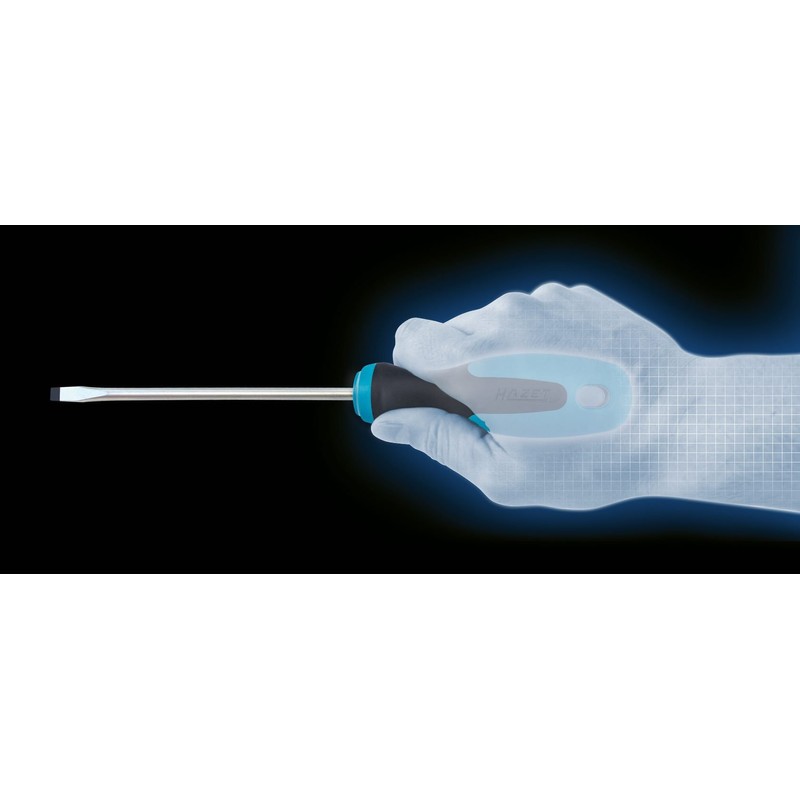 Hazet 25 Screwdriver (Slotted Mattverchromte Blade Kit, Burnished Tip)
