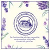 Le Petit Marseillais Shower Cream (250 ml), Lavender from the