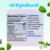 XyloBurst - Xylitol Mints | Sugar Free Breath Mints for