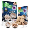 XXTOYS Crystal Geode, Crystal Geode, Christmas Present, Cracking, Self Cracking,
