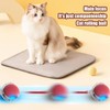 Interactive Cat Toys Ball for Indoor Cats, Interactive Rolling Small