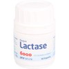 Lactase 6,000 FCC Capsules