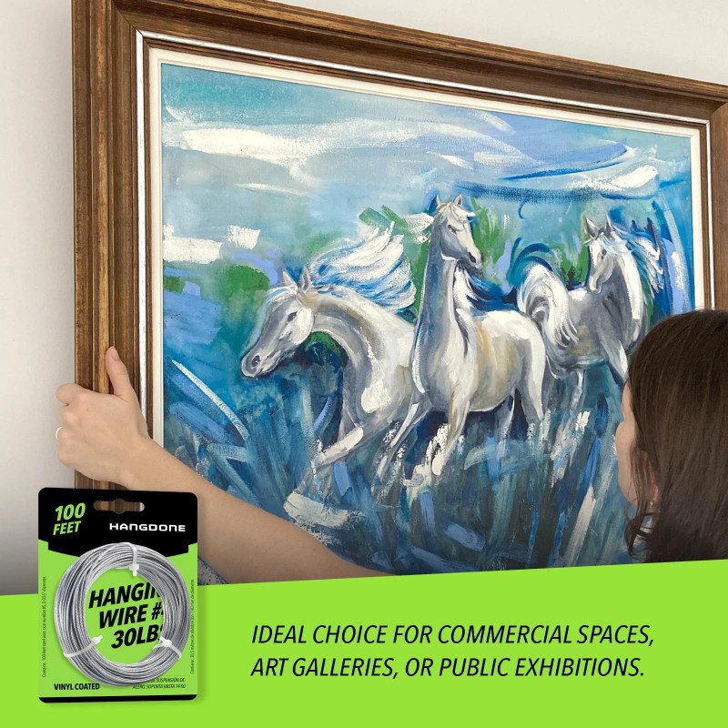 Hangdone Coated Picture Hanging Wire #4 30Lbs 100-Feet, Flexible Steel