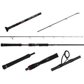 Jigging World 2.0 Spinning Rods Nexus