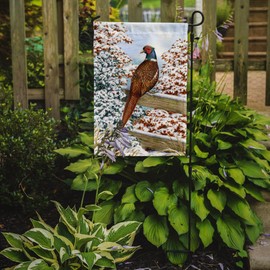 Caroline's Treasures ASA2062GF Pheasant Garden Flag Mailbox Flag Decorative Yard Flag Banner Outside Patio Artwork Yard Flower Beds, Garden Size, Multicolor
