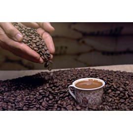 Ozerlat Arasta Blend Filter Coffee, Medium Roast, 100% Arabica Wholebean, Re-sealable Pouch 500g