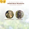 Solabiol Tree Wound Wax, Ready-to-Use Wound Fastener for Fruit Trees