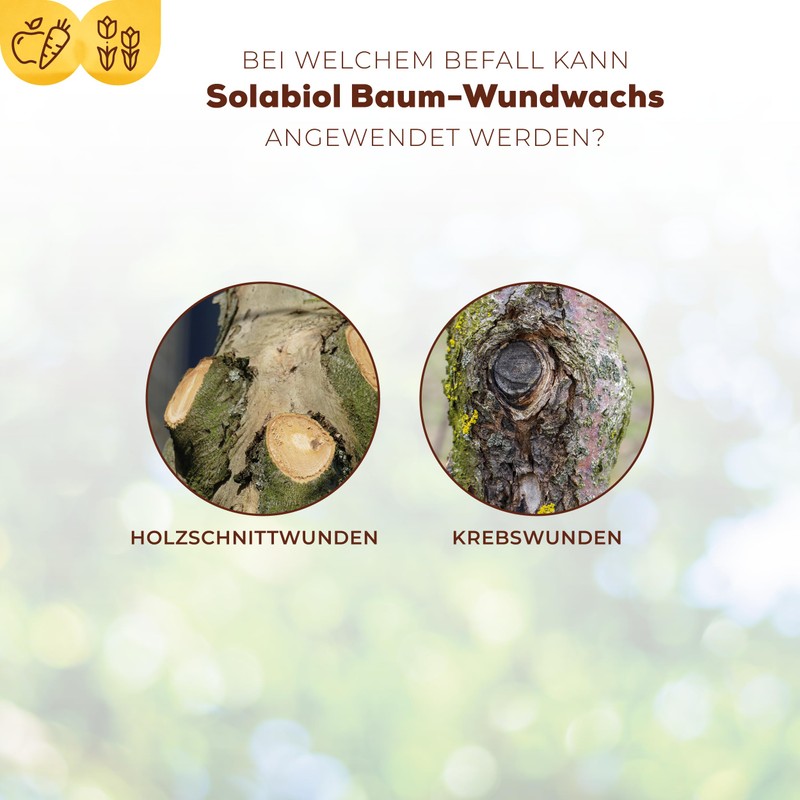 Solabiol Tree Wound Wax, Ready-to-Use Wound Fastener for Fruit Trees