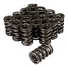 Comp Cams 26987-16 Dual Valve Spring w/Damper - 1.442 OD