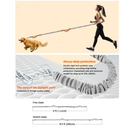 Hurluksi Hand Free Dog Waist Lead, Running Dog Belt Leash Heavy Duty Dog Walking Belt with Retractable Bungee & Sponge handle (Orange)