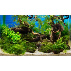 ZatiasMiller Aquarium Background Stone River Bed Terrarium Background Aquatic Plants Fish Tank Background Undersea Tree Branches Aquarium Background Tropical Fish Tank Background Decor Vinyl 30x18in