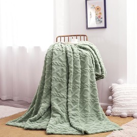 VANJOROY Fleece Blanket Large Throw for Sofa and Bed,400 GSM Lightweight Blanket, 100% Microfiber Fuzzy Soft Warm Cozy Fluffy Wool Throw for Chair,Couch,Travel.. (Sage Green, 150×200cm)