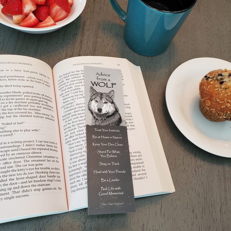 Your True Nature Advice 3 Bookmark Night Set, Laminated with