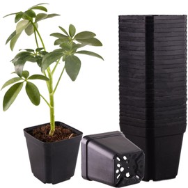 50 Packs Square Nursery Pots for Plants 2.8 Inch Succulent Plant Pots Set Plastic Seedling Starting Pots with Drainage Holes Nursery Pots Variety Pack Flower pots Planter Seed Starter, Black