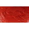 Dr.PAWPAW True Coral Tinted Balm 10ml