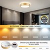 Peblto Dimmable Gold LED Ceiling Light, 2700K-6000K 5CCT in One