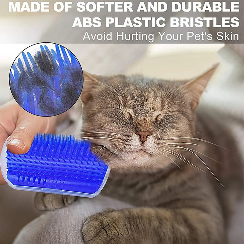 Massage Pet Cat